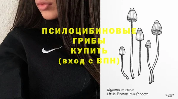 прущие грибы Алексин