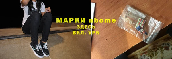 прущие грибы Алексин