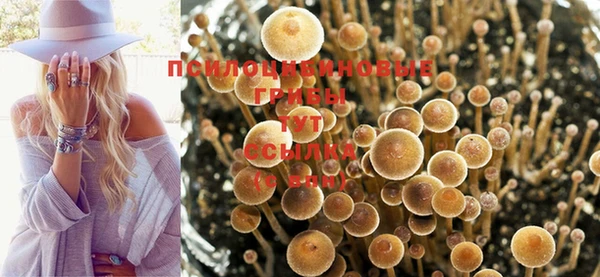 мяу мяу мука Абинск