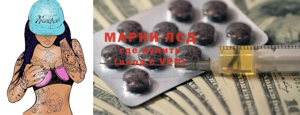 прущие грибы Алексин