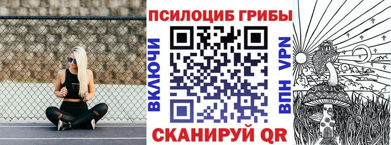 Галлюциногенные грибы Psilocybe  Учалы 