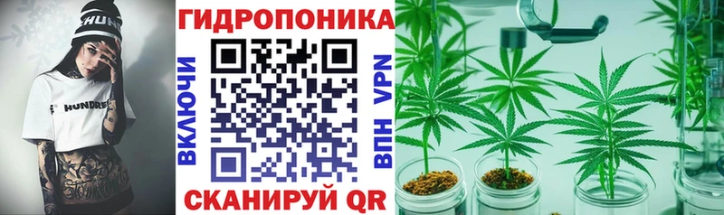 Шишки марихуана Amnesia  площадка как зайти  Учалы 